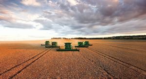 Прогноз врожаю зернових: Україна нарощує потенціал