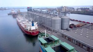 Рівень води в Дунаї обмежує експорт зерна