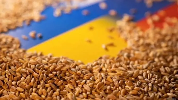 Росія викрала 9,3 млн тонн українського врожаю