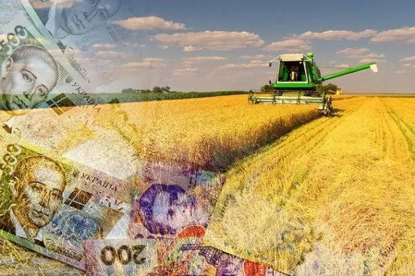 Соя: Найприбутковіша культура сезону
