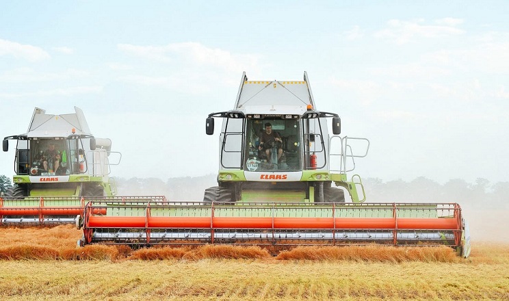 Tekom Agro Group завершила збір сочевиці