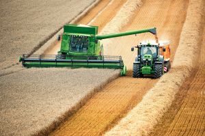 Україна може втратити 20% посівів через експортні проблеми