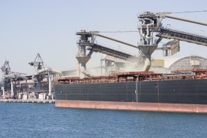 Українське зерно: прогноз експорту найнижчий за 12 років