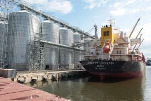 Уряд скоригував ціни на експорт зерна