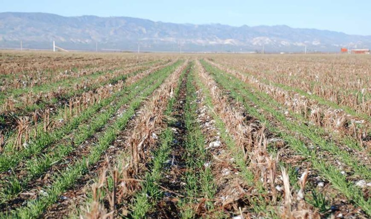Як сформувати парк техніки для технології no-till