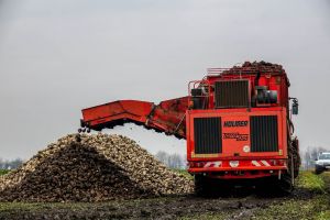 Європа: виробництво цукру на рекордно низькому рівні