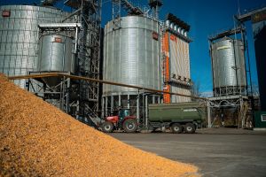 Зберігання зерна: ціни можуть зрости на 70%