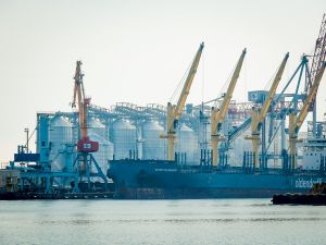 Зеленський пропонує залучити флот інших країн для експорту зерна