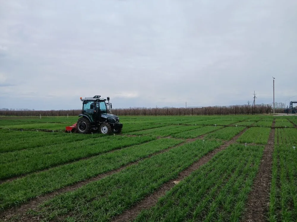 Адаптоване насінництво: відповідь агросектору на виклики