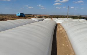 Аграрії отримають зернові рукави для зберігання врожаю