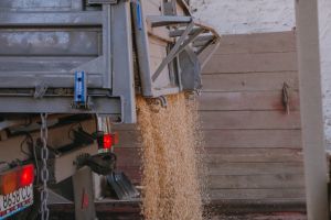 Бюджет-2027: Аграрії отримають менше підтримки