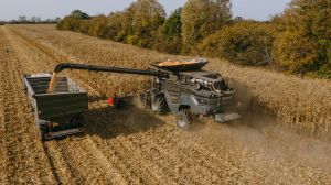 Чому аграрії масово збирають сою: причини та прогнози