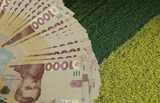 Ціна гектара землі в Україні зростає