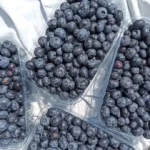 Ціна на лохину в Україні досягла мінімуму попри неврожай