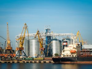 Експорт зерна з України: чому падають показники 2026 року