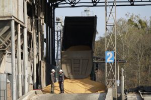 Логістика зерна: чому вантажопотоки йдуть з Одещини