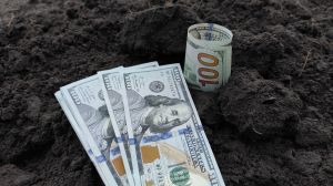 НІБУЛОН: зростання виплат пайовикам