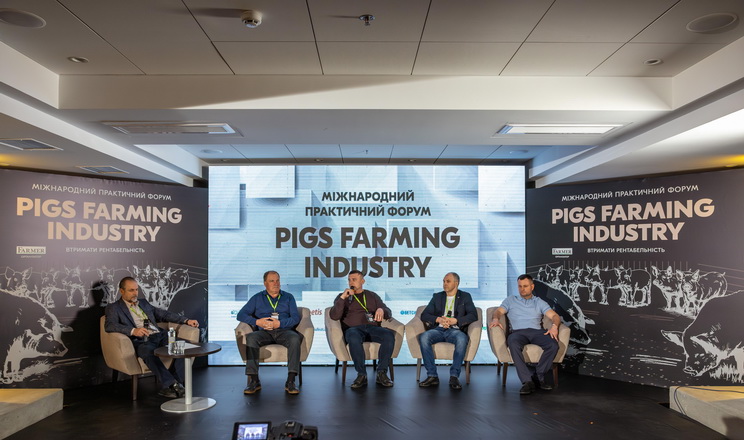 Pigs Farming Industry 2024: головні виклики свинарства