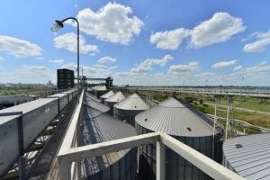 Рейдерське захоплення зернового терміналу «Боріваж»
