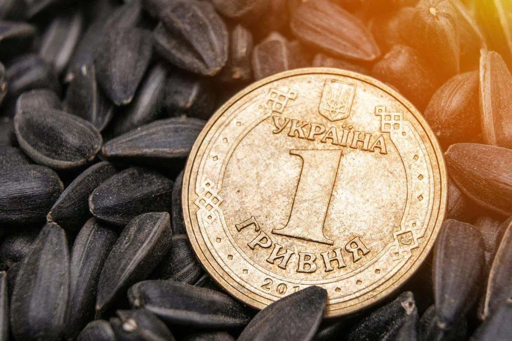 Соняшник в Україні: ціни падають