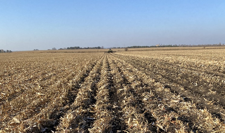 Технологія strip-till: чому аграрії змінюють підходи