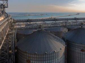 У Новоросійську дрони атакували зерновий термінал РФ