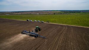 В Україні засіяли понад 30% площ озимими зерновими