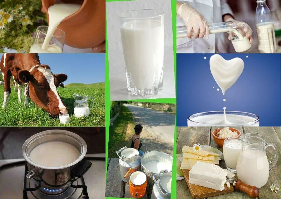 Як перевірити якість молочних продуктів вдома
