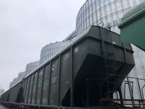 Зростання цін на перевезення зерна в Україні