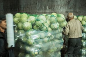 Агробізнес просить захисту для критичних підприємств