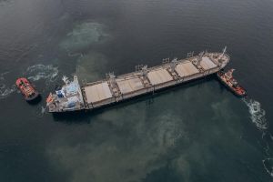 Болгарія, Румунія, Туреччина створять механізм безпеки в Чорному морі