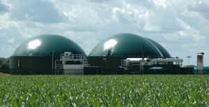 Де в Україні найвищий потенціал для виробництва біогазу?