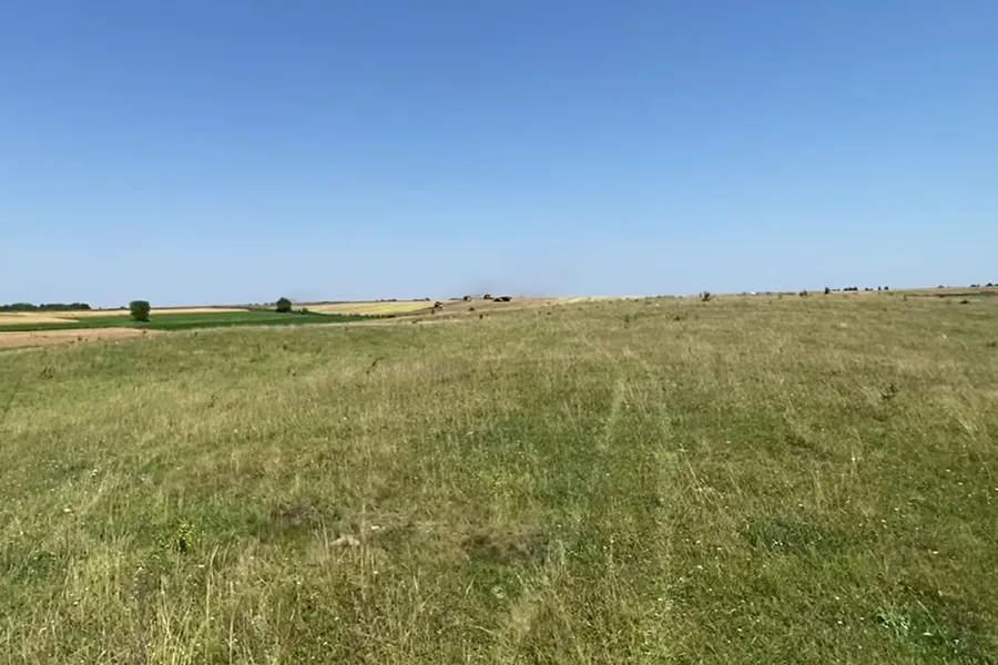 Ексочільника сільради Одещини судитимуть за землю