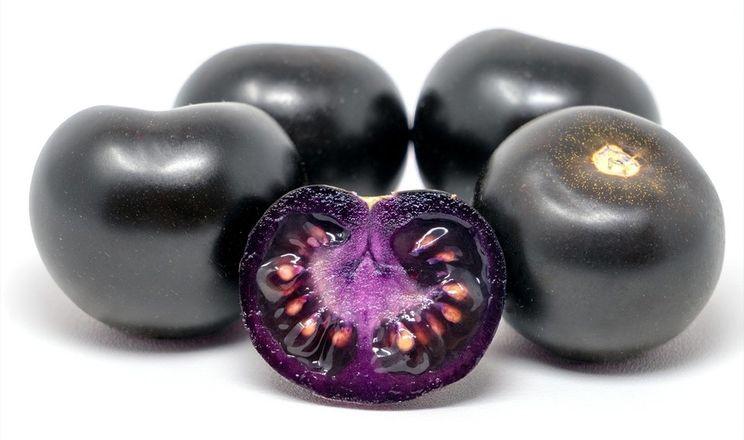 Фіолетові томати Purple Bliss: агрохіт сезону
