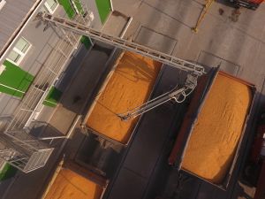Країни Балтії вимагають заборонити транзит зерна з РФ