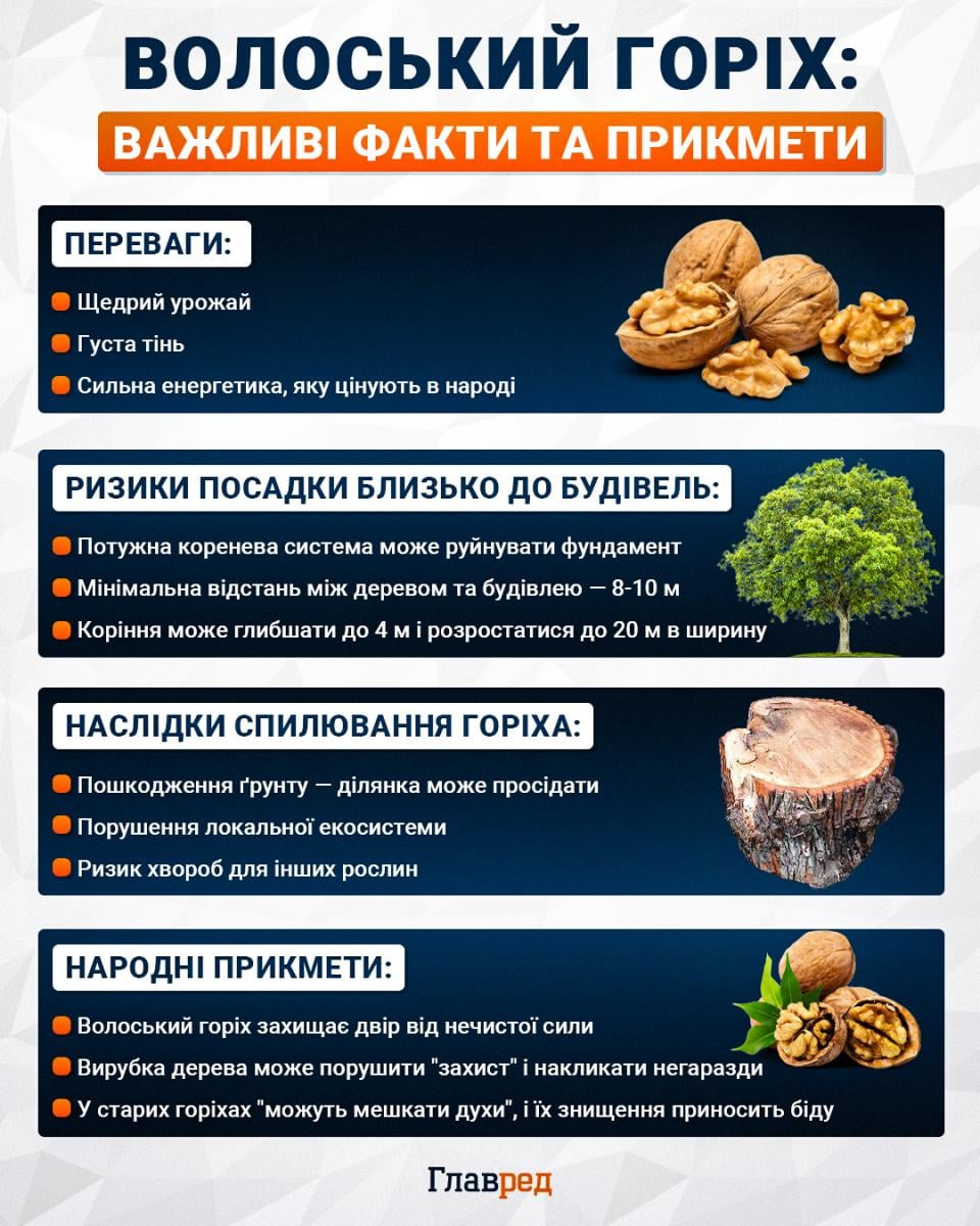 Листя волоського горіха: компост і мульча замість спалювання