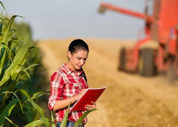 На аграрні спеціальності вступило на 23,3% більше студентів