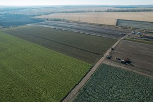 Оренда землі: скільки платять аграріям в Україні