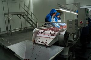 Переробникам дозволили отримувати гранти без нових робочих місць