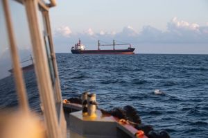 РФ дозволила вихід зерновозів з Азовського моря