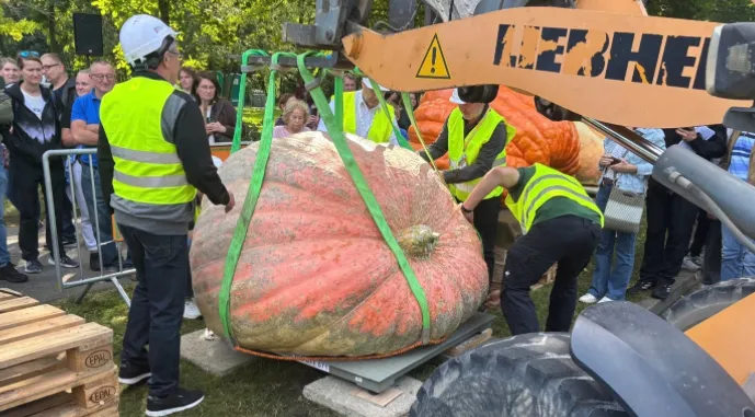 У Польщі фермери виростили гігантський гарбуз вагою 918 кг