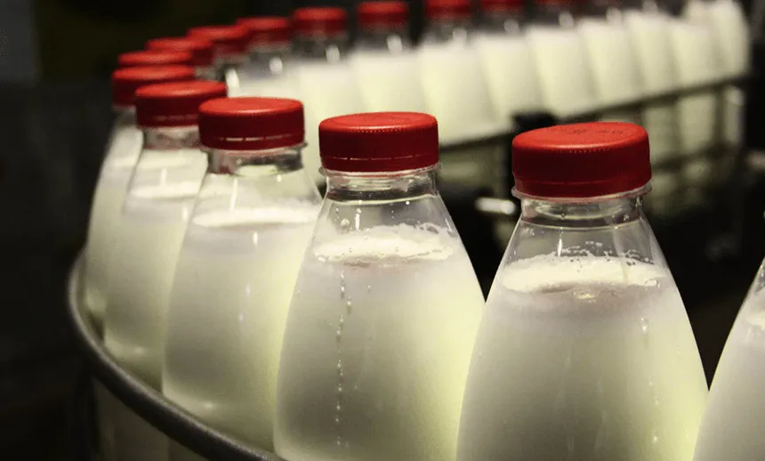 Україна оновить стандарти молочної продукції під вимоги ЄС