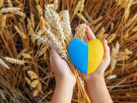 Україна планує постачати до 1 млн тонн зерна для гуманітарних потреб