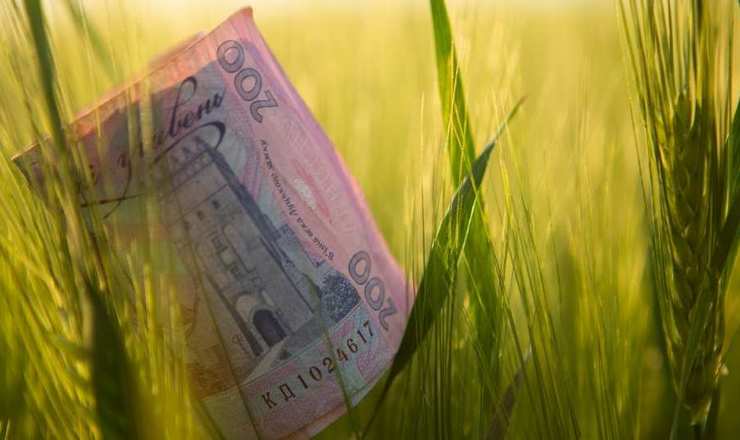 Україна створює Виплатну агенцію за стандартами ЄС
