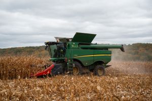 Україна зібрала мільйон тонн кукурудзи