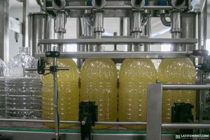 Уряд надав пріоритет експорту української олії