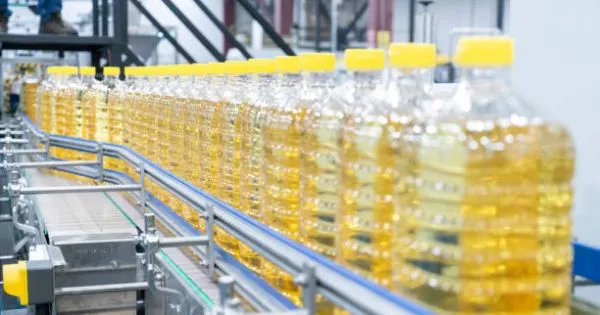 В Україні під загрозою зупинки олійні заводи