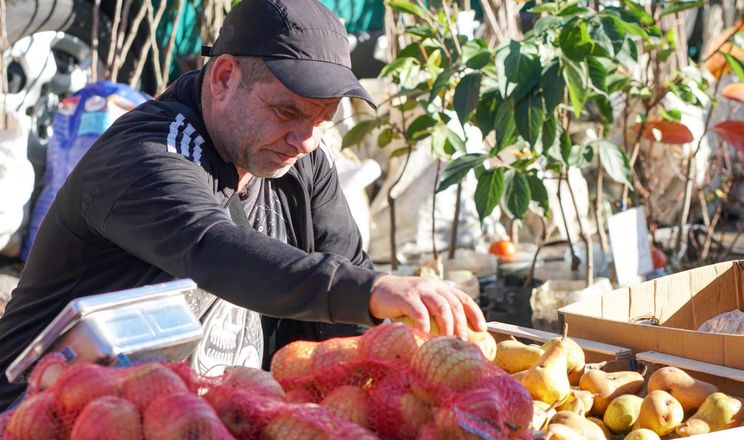 В Ужгороді стартував масштабний осінній ярмарок