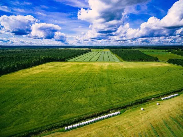 Вартість земельних паїв в Україні зросла до 180 тис. грн