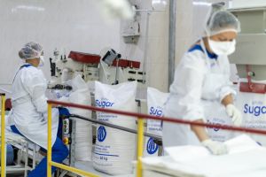 Виробництво цукру в ЄС скоротиться на 20%: прогноз USDA